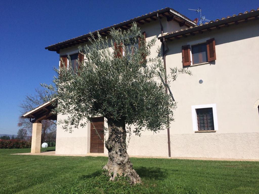 Podere Le Volte Degli Angeli Spello Exterior photo