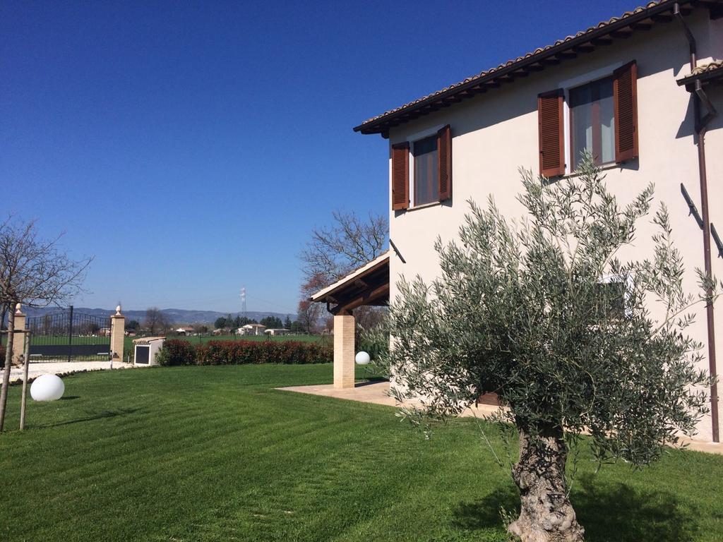 Podere Le Volte Degli Angeli Spello Exterior photo
